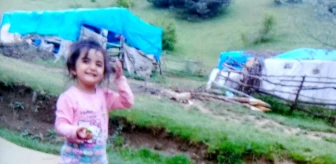 Tokat'ta 3.5 yaşındaki çocuk kayboldu, 2 bin 72 gündür haber alınamıyor