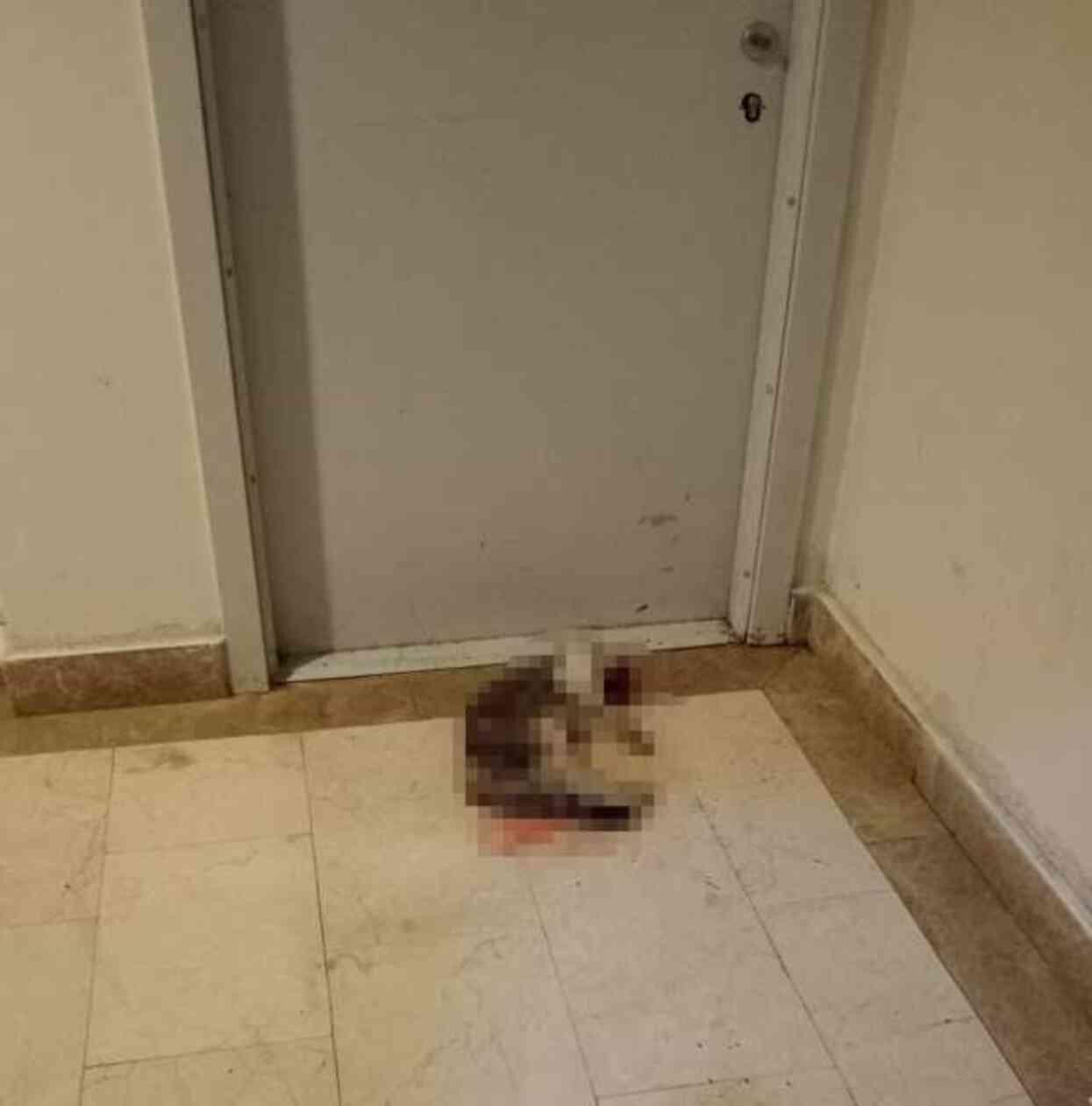 Eros'un katili İbrahim Keloğlan serbest mi bırakıldı? Ceza aldı mı? Eros'un katili İbrahim Keloğlan serbest mi bırakıldı? Ceza aldı mı?