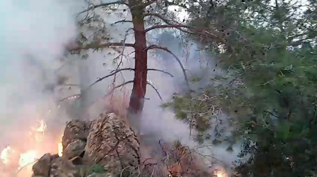 Ormandaki yangının ortasında baygın bulunan şüpheliye, ilçeye ve ormana giriş yasağı