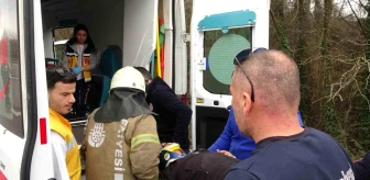 Şile'de Minibüs Şarampole Yuvarlandı, Şoför Yaralandı