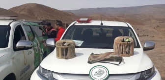 Kars'ta Kaçak Keklik Avcılarına Yüksek Cezalar