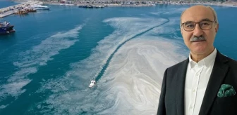 Prof. Dr. Mustafa Sarı, Marmara Denizi'ndeki kirlilik ve müsilaj için uyardı: 50 yılda 19 balık türü kayboldu