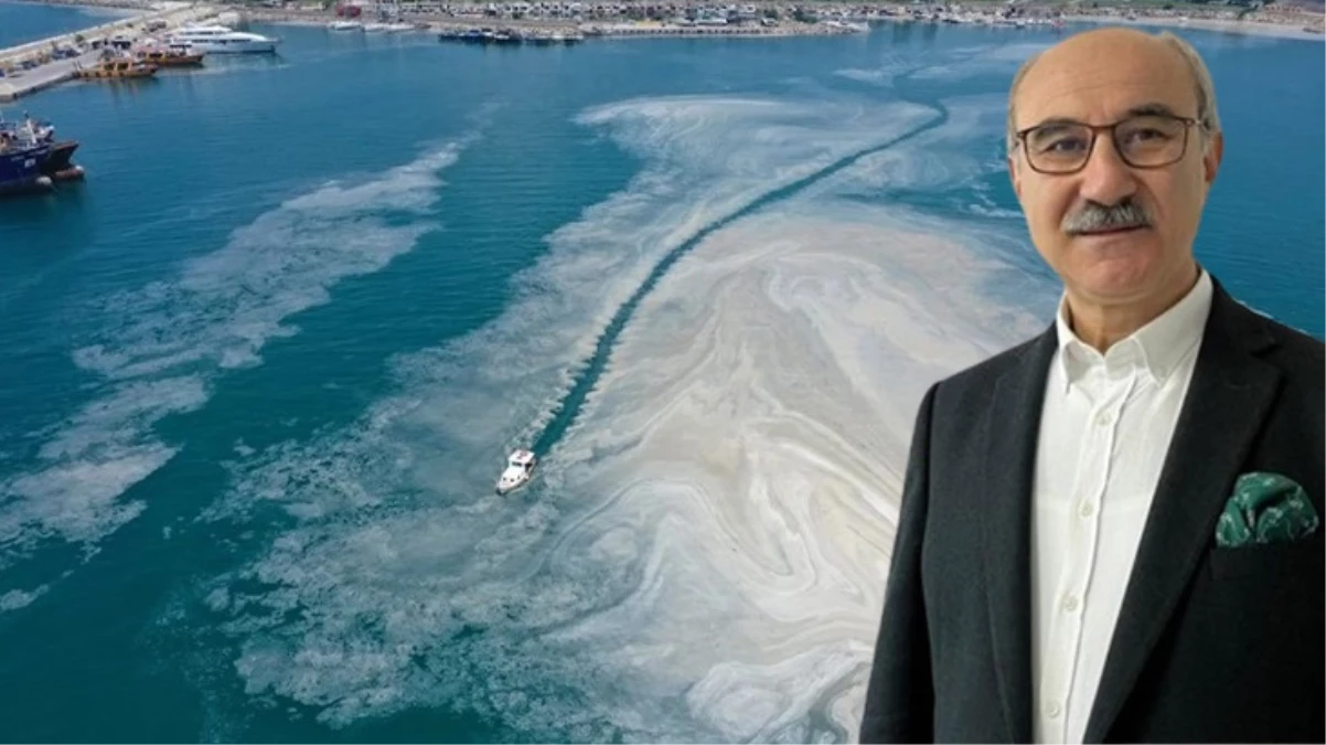 Prof. Dr. Mustafa Sarı, Marmara Denizi'ndeki kirlilik ve müsilaj için uyardı: 50 yılda 19 balık türü kayboldu