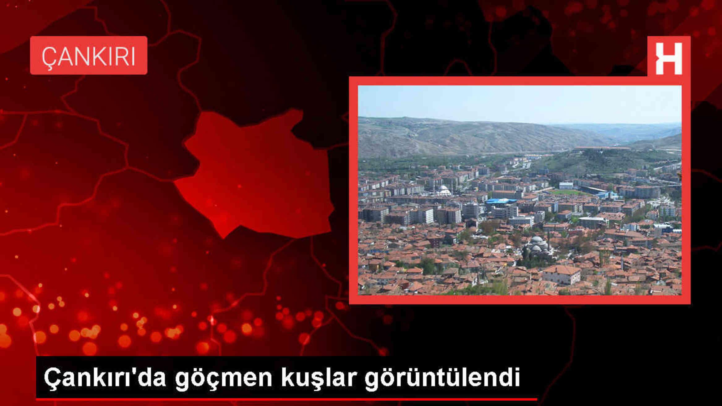 Çankırı'da Göçmen Kuşlar Görüntülendi