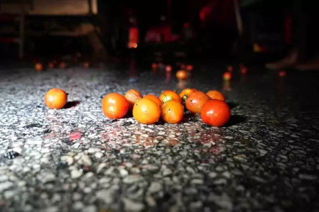 Edirne'de sınır kapısında bekleyen tırda yangın Edirne'de sınır kapısında bekleyen tırda yangın