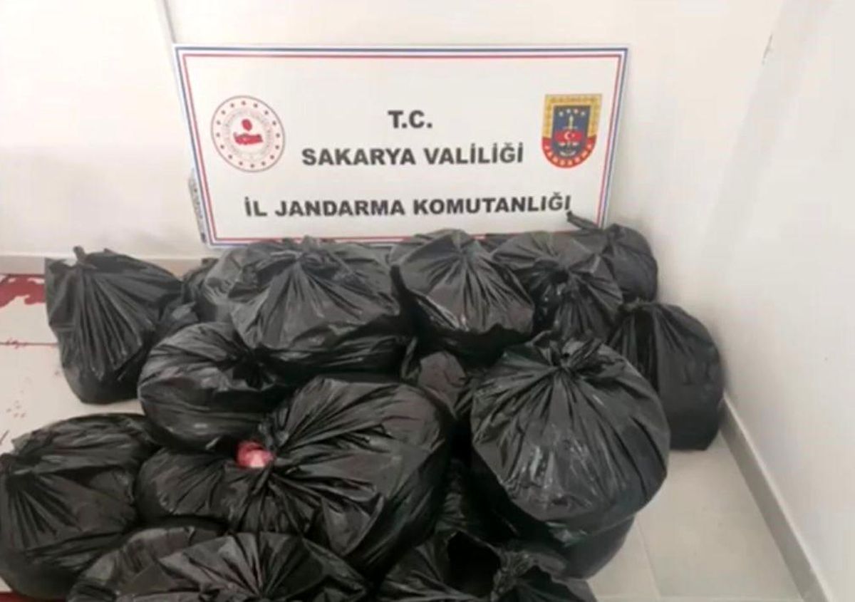 Adana'da kesilen at ve eşek eti operasyonu