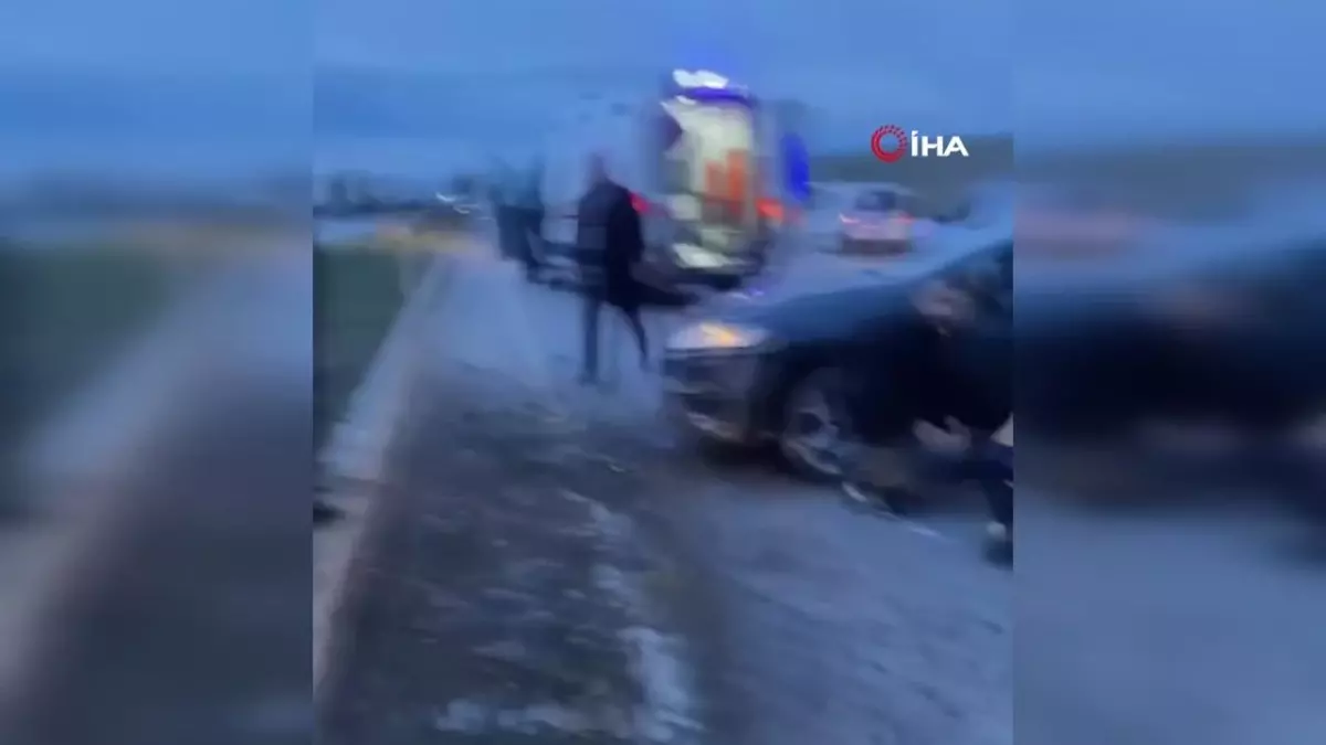 Köpeğe Çarpan Araç Refüje Çarptı: 1 Yaralı