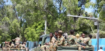 Somali'de Eş-Şebab Terör Örgütü Otele Saldırdı