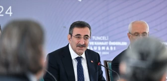 Cumhurbaşkanı Yardımcısı Cevdet Yılmaz Tunceli'de kütüphane açılışında konuştu
