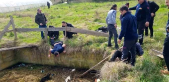 Sinop'ta sulama kanalına düşen köpeği kurtarmaya giden vatandaş boğulma tehlikesi geçirdi