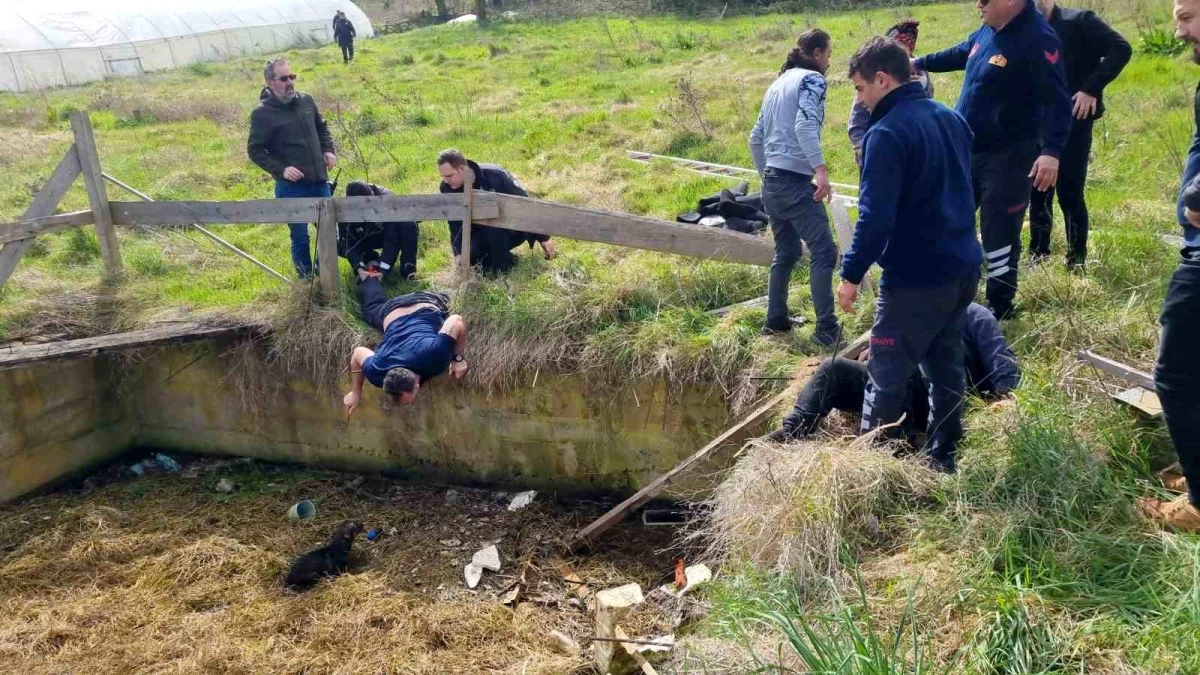 Sinop'ta sulama kanalına düşen köpeği kurtarmaya giden vatandaş boğulma tehlikesi geçirdi