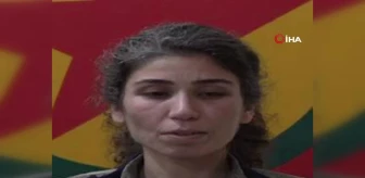 MİT, PKK/KCK'nın sözde sorumlusu Rojda Bilen'i etkisiz hale getirdi