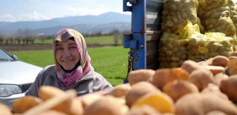 Bolu'da Patates Ekimi Başladı