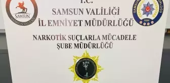 Samsun'da Uyuşturucu Operasyonu: 19 Kişi Yakalandı