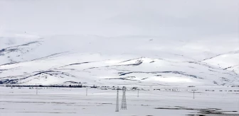 Ardahan ve Kars'ta Kar Yağışı Devam Ediyor