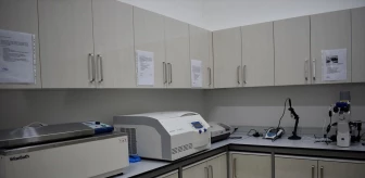 Bitlis Eren Üniversitesi'nde Kanser İlaçları Araştırılan Laboratuvar Açıldı