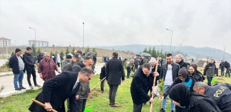 Sinop'ta Orman Haftası etkinliği: 685 fidan dikildi