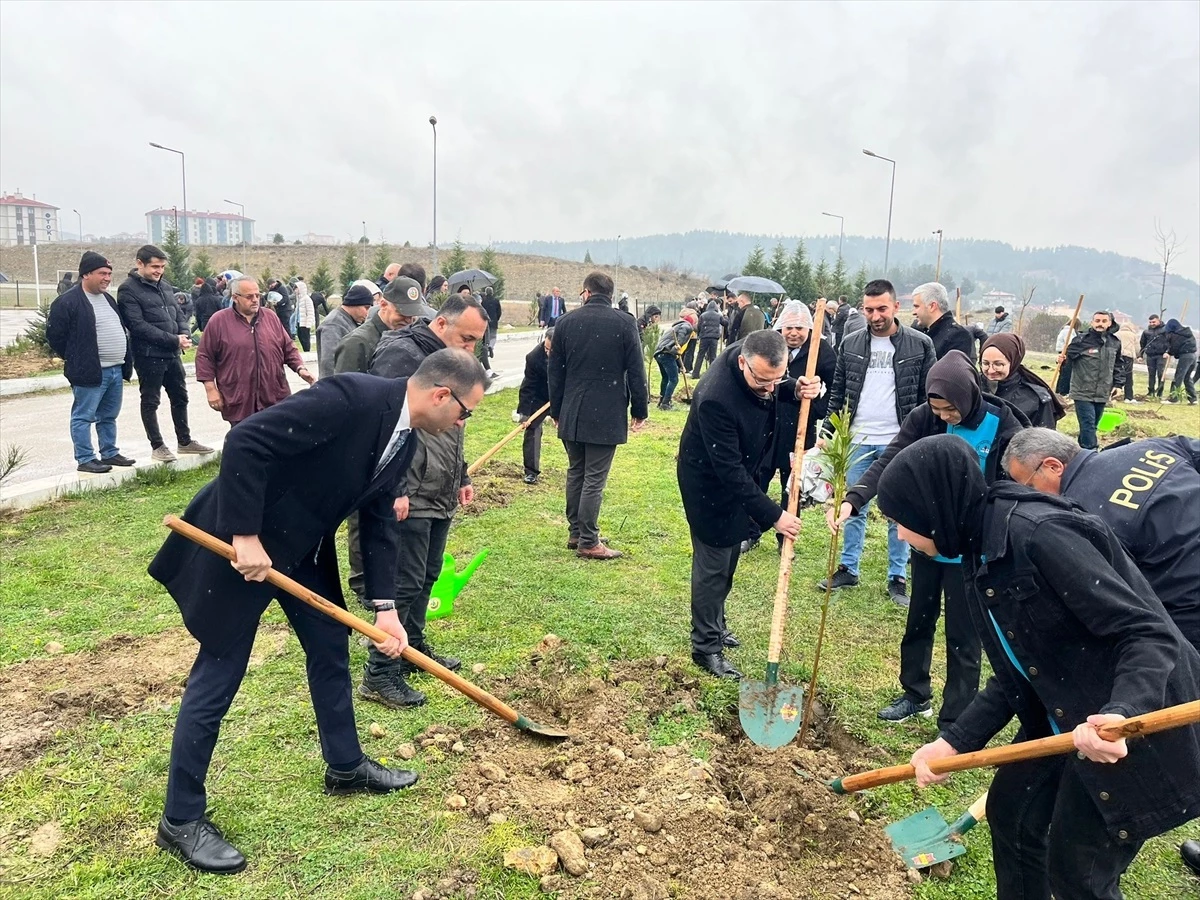 Sinop'ta Orman Haftası etkinliği: 685 fidan dikildi