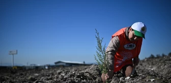 İzmir Valisi: Erozyonla ve çölleşmeyle mücadele için orman varlığı genişletilmeli