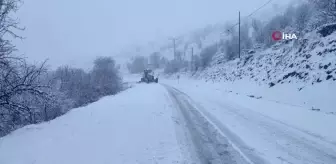 Sivas'ın yüksek kesimleri beyaza büründü