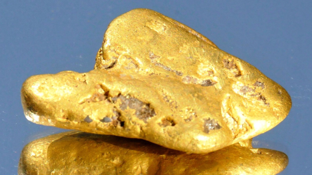 Toprağı 20 dakika taradıktan sonra ülkenin en büyük altın külçesini buldu