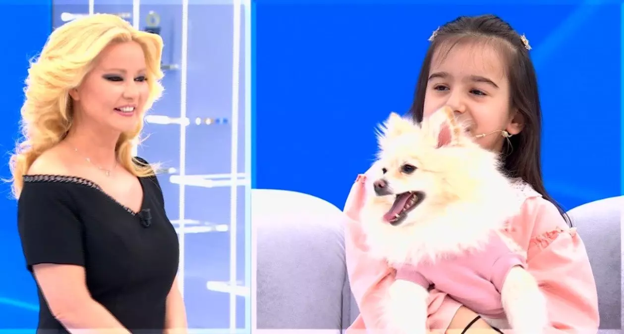 'Leydi' isimli köpek kayboldu, Müge Anlı'dan yardım istendi