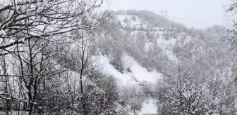 Tokat'ın Almus ilçesinde kar yağışı etkili oldu