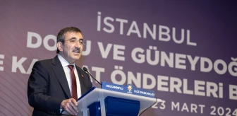 Cumhurbaşkanı Yardımcısı Cevdet Yılmaz: Seçimden önce istediğimi söylerim, seçimden sonra da unuturum diyenler sandıkta hesap verecek
