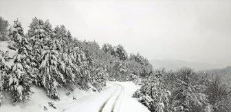 Kastamonu'da Kar Yağışı Sonrası Beyaza Bürünen Ormanlar Havadan Görüntülendi