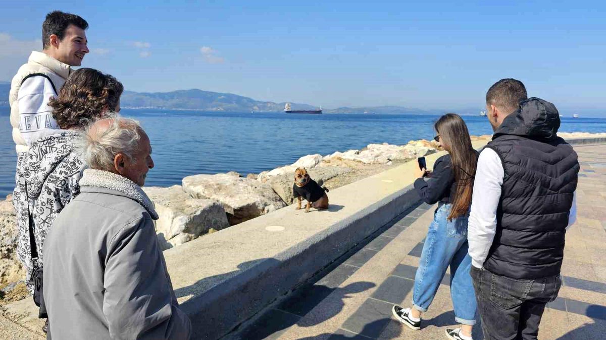Bandırma Sahillerinde Renkli Görüntüler