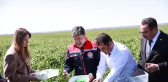 Tarım ve Orman Bakanı Yumaklı: İklim değişikliği zararlı popülasyonunu artırıyor