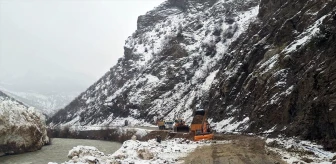Van'da çığ nedeniyle kapanan Çatak-Pervari kara yolu açıldı
