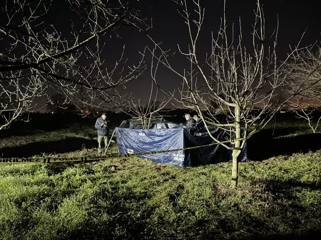 Ailesinin haber alamadığı genç, meyve bahçesinde başından vurulmuş halde bulundu Ailesinin haber alamadığı genç, meyve bahçesinde başından vurulmuş halde bulundu