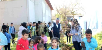 Muğla Köyceğiz Ortaokulu Öğrencileri Orman Haftasında Okul Bahçesini Keçiboynuzu Ormanına Dönüştürdü