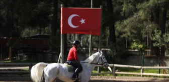 Antalya'da At Oteli: Değerleri Milyon Doları Bulan Atlar Yarışlara Hazırlanıyor