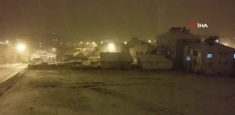 Varto'da kar yağışı: 20 köy yolu ulaşıma kapandı