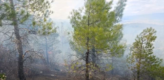 Mersin'de Orman Yangını Kontrol Altına Alındı