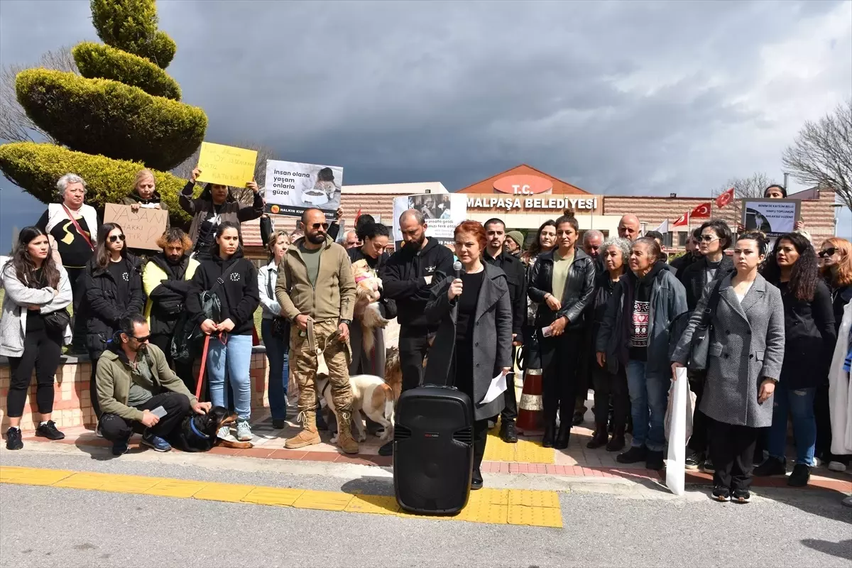 İzmir'de Hayvan Barınağında Öldürülen Köpekler Protesto Edildi