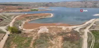 Kızılırmak'ta Kuraklık Tehlikesi: Baraj Sularının Çekildiği Alanda Koyunlar Otluyor