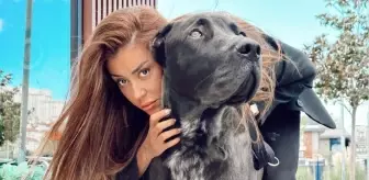 Banu Parlak kimdir, kaç yaşında? Banu Parlak'ın köpeğinin cinsi ne?