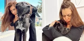 Banu Parlak olayı nedir? Köpeği neden saldırdı? Banu Parlak ne dedi?