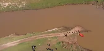 Şanlıurfa'da dereye kapılan çocuğun arama çalışmaları devam ediyor