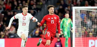 Başakşehir'in Polonyalı golcüsü Piatek, EURO 2024'e gitme hakkını kazandı