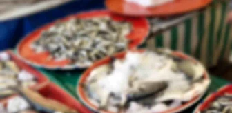 Beyşehir'de Balık Satış Yerleri Denetlendi