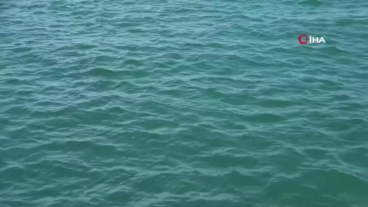 Deniz Suyu Sıcaklıklarının Artması Hortumları ve Meteorolojik Olayları Artırıyor