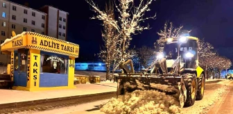 Erzurum'da 164 köy yolu ulaşıma kapalı, gece Karayazı ilçesinde termometreler-13 dereceyi gösterdi