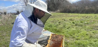 Bolu İli Arı Yetiştiricileri Birliği Başkanı: Arıcılar Bilinçli Hareket Etmeli