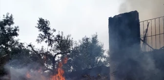 Erdek'te çıkan yangında bağ evinde hasar oluştu