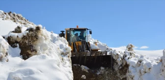 Şemdinli'de karla mücadele çalışmaları devam ediyor