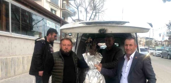 Bilecik'in Osmaneli ilçesinde 27 köy muhtarına 3 bin dikensiz böğürtlen fidesi dağıtıldı